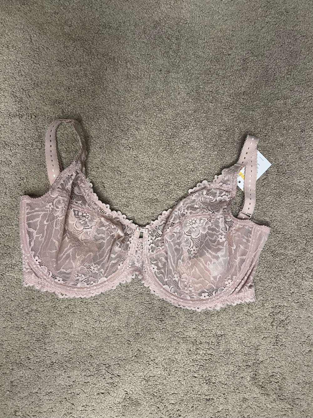 Sheer Lace Underwire Bra - Dusty Pink